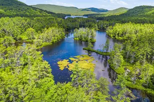 125 Dam Rd, Porter, ME 04068 - Photo 69
