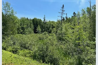 Lot 3 Lois Lane, Gouldsboro, ME 04607 - Photo 9