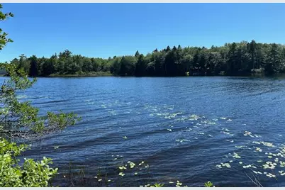 Lot 3 Lois Lane, Gouldsboro, ME 04607 - Photo 3