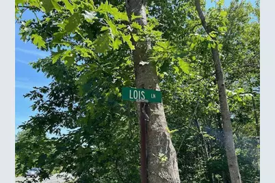 Lot 3 Lois Lane, Gouldsboro, ME 04607 - Photo 7