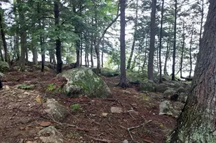Porus Island, T1 R9 Wels, ME 04462 - Photo 47