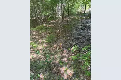 Lot 2C Brown Road, Liberty, ME 04949 - Photo 5