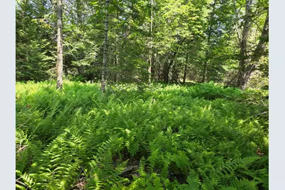 00 Brown Road, Searsmont, ME 04973 - Photo 13