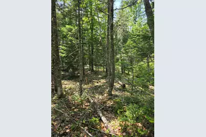 00 Brown Road, Searsmont, ME 04973 - Photo 7