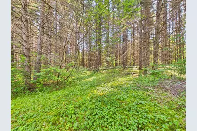64 Noyes Road, Caribou, ME 04736 - Photo 31