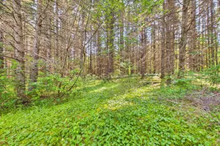 64 Noyes Rd, Caribou, ME 04736 - Photo 31