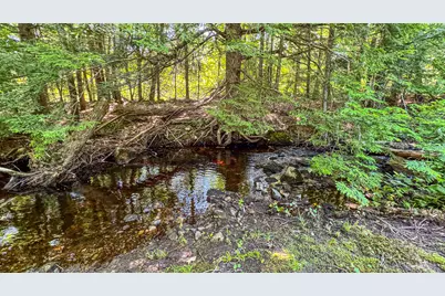 179 S Effingham Road, Newfield, ME 04095 - Photo 11