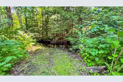 179 S Effingham Road, Newfield, ME 04095 - Photo 9