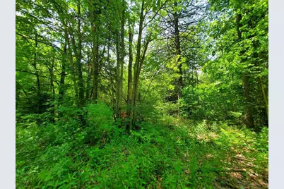 00 Morgan Road, Burnham, ME 04922 - Photo 55