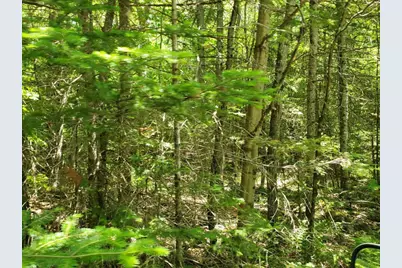 00 Morgan Road, Burnham, ME 04922 - Photo 9