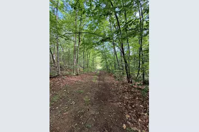 Lot 29 Pine Tree Road, Waterford, ME 04088 - Photo 7
