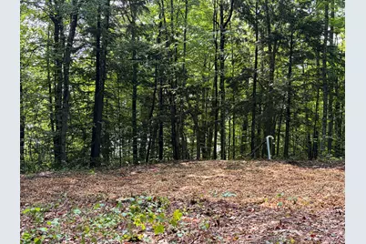 Lot 29 Pine Tree Road, Waterford, ME 04088 - Photo 3