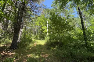 Pe040/15A Andrews Rd, Drew Plt, ME 04497 - Photo 27