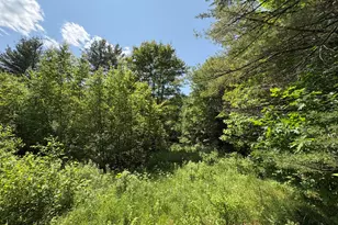 Pe040/15A Andrews Rd, Drew Plt, ME 04497 - Photo 29