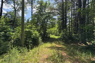 Pe040/15A Andrews Rd, Drew Plt, ME 04497 - Photo 31