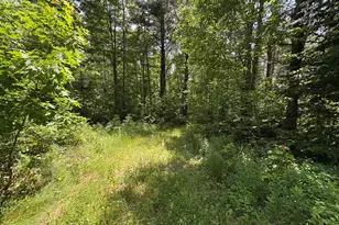 Pe040/15A Andrews Rd, Drew Plt, ME 04497 - Photo 33