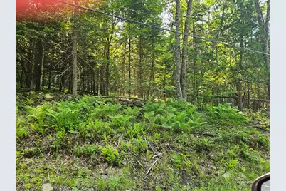 Lot 2-A Rips Road, Brownville, ME 04414 - Photo 3
