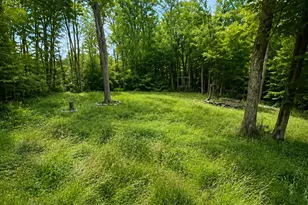 41 Convene Rd, Sebago, ME 04029 - Photo 3