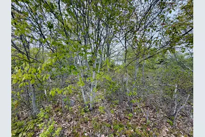 519 Snow's Cove Road, Sedgwick, ME 04676 - Photo 13
