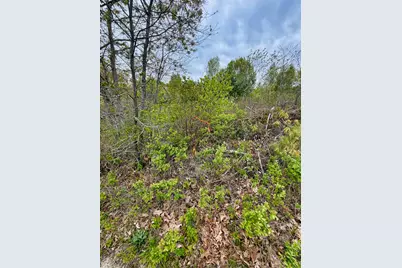 519 Snow's Cove Road, Sedgwick, ME 04676 - Photo 5