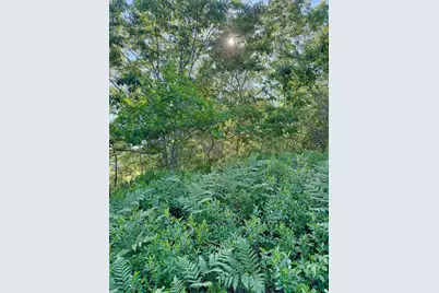 519 Snow's Cove Road, Sedgwick, ME 04676 - Photo 7
