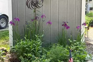 1 Robinson Way, Kennebunk, ME 04043 - Photo 7
