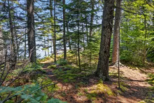 Lot #7 Long Island, Harpswell, ME 04079 - Photo 47