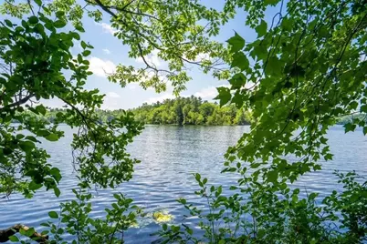 1 Black Island & 93 Birchwood Lane, Winthrop, ME 04364 - Photo 43