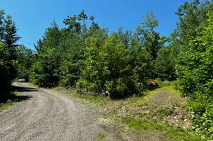 221 Brown Rd, Oakfield, ME 04763 - Photo 9