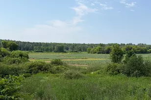 426 Washburn Rd, Washburn, ME 04786 - Photo 5
