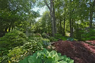 58 Church St, Belfast, ME 04915 - Photo 43