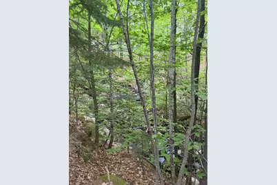 Lot 29 Auburn Road, Peru, ME 04290 - Photo 3