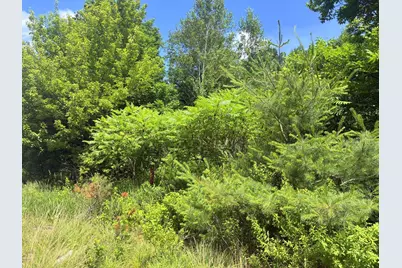 Lot 29 Auburn Road, Peru, ME 04290 - Photo 5