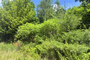 Lot 29 Auburn Rd, Peru, ME 04290 - Photo 1