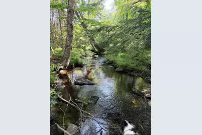 Lot #3 Pine Hill Road, Palermo, ME 04354 - Photo 5