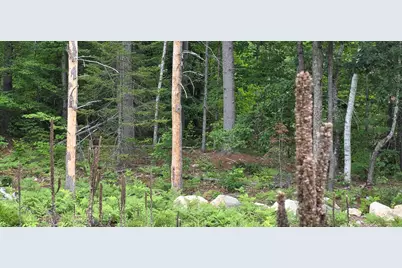 104 Smith Road, Denmark, ME 04022 - Photo 11