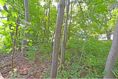 12 Lamothe Avenue, Biddeford, ME 04005 - Photo 3