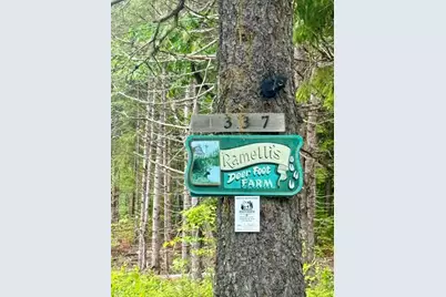 1337 E Plantation Road, Blaine, ME 04734 - Photo 43
