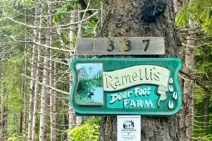 1337 E Plantation Rd, Blaine, ME 04734 - Photo 43