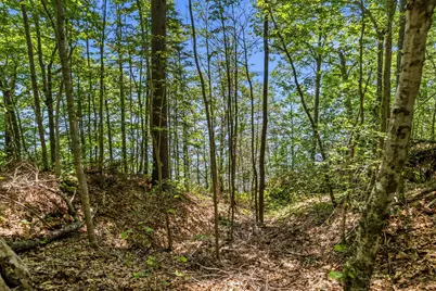 19_8_1A Flying Point Road, Freeport, ME 04032 - Photo 15