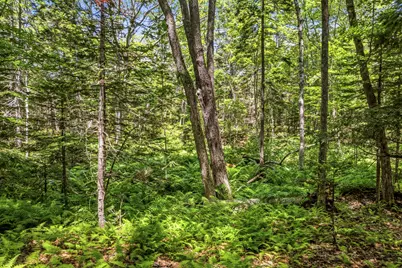 19_8_1B Flying Point Road, Freeport, ME 04032 - Photo 15