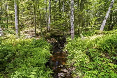 19_8_1B Flying Point Road, Freeport, ME 04032 - Photo 9