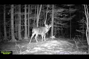10 Eveleth Rd, Shirley, ME 04485 - Photo 33
