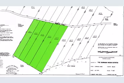 Lots 11-15 Morgan Road, Burnham, ME 04922 - Photo 7