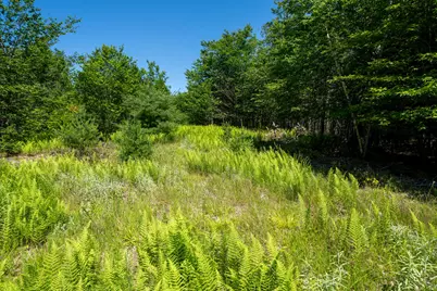 124 Albin Road, Searsmont, ME 04973 - Photo 29