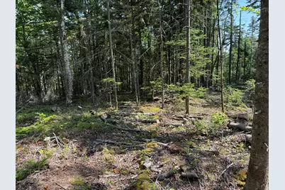 M6L21 Great Cove Road, Roque Bluffs, ME 04654 - Photo 7