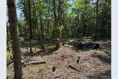 M6L21 Great Cove Road, Roque Bluffs, ME 04654 - Photo 11