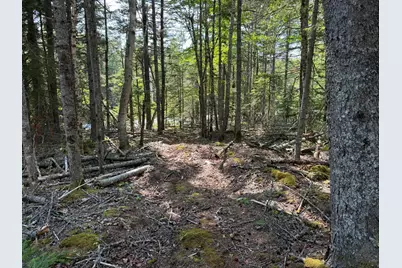 M6L21 Great Cove Road, Roque Bluffs, ME 04654 - Photo 9