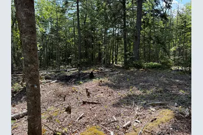 M6L21 Great Cove Road, Roque Bluffs, ME 04654 - Photo 9