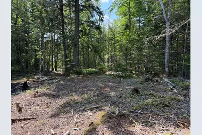 M6L21 Great Cove Road, Roque Bluffs, ME 04654 - Photo 15